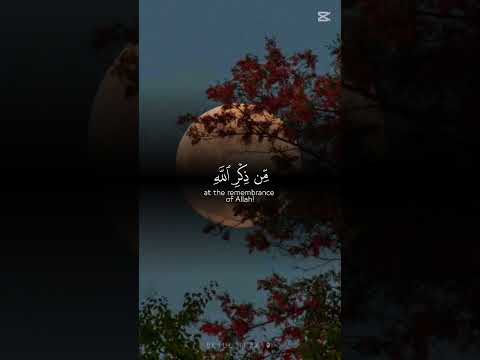 اشترا ك🌷🌷🌷🌷