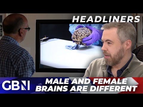 'Ron Burgundy WAS right!' | Stanford boffins discover men and women DO have different brains