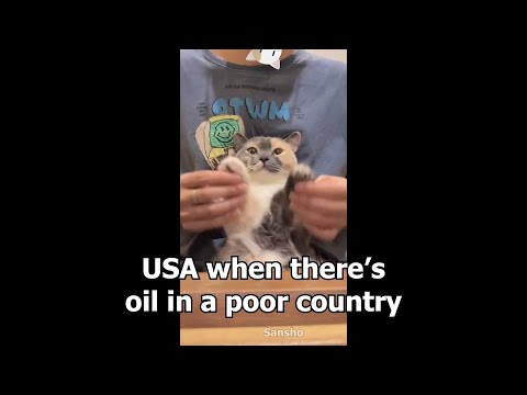 Country Slander with Cats