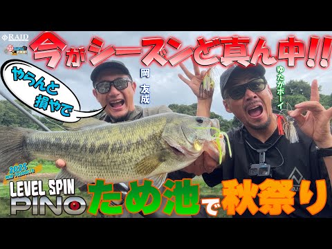 GoPro釣果便  『レベルスピン ピノ  秋のため池で秋祭り!!』ゆたかボーイ・岡友成