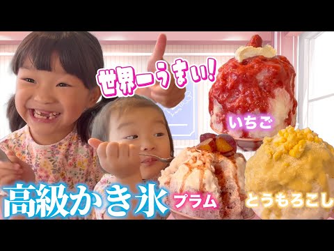 【ののちゃんの夏休み】世界一うまちい♥かき氷と出会ったよ🍧