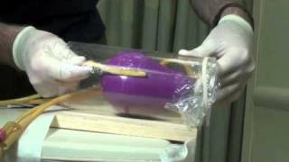 Inflating objects in the anus Deep ass dildo
