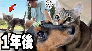 動画サムネイル