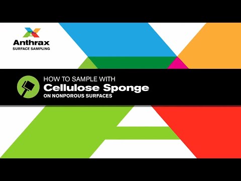 Anthrax surface sampling: How to sample with cellulose sponge on nonporous surfaces