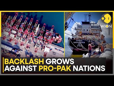 Backlash Grows Against Pro-Pak Nations; Trade, Travel With Turkiye, Azerbaijan Take A Hit | WION