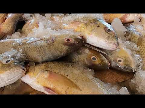 GWADAR | Sun City | Trailer | EP - 2 |