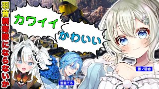 【APEX LEGENDS】ソロランだけど人がいたらフルパも有りだと思う【とよぴ～】
