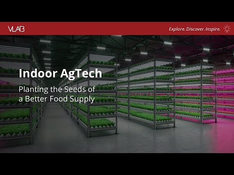 Indoor AgTech: Planting the Seeds of a Better Food Supply