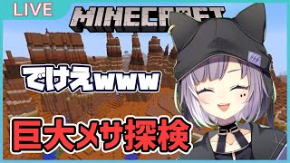 【マイクラ】メサメサ探検隊！！！