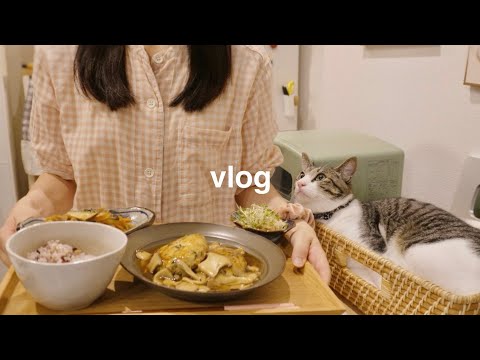 【vlog】夏の疲れケア🍉美容ごはんでインナードライケアする日常🎐新しい猫トイレと空気清浄機　#PetSnowy