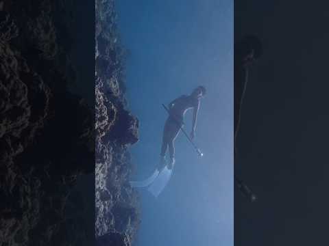 Freediving [Learn the basic Freediving]