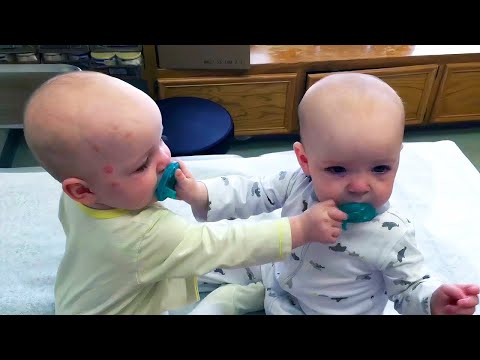 Naughty Babies Fighting over pacifier - Try Not To Laugh