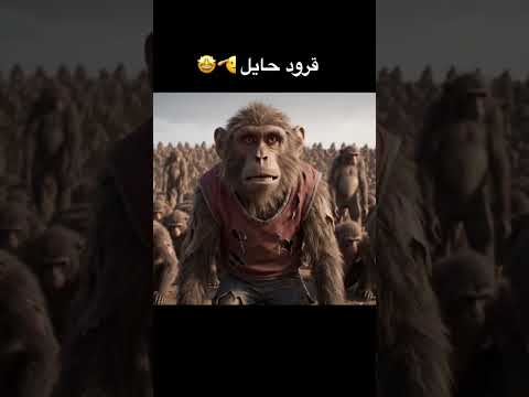 #قرود_الطائف #قرود_ابها #memes #shorts