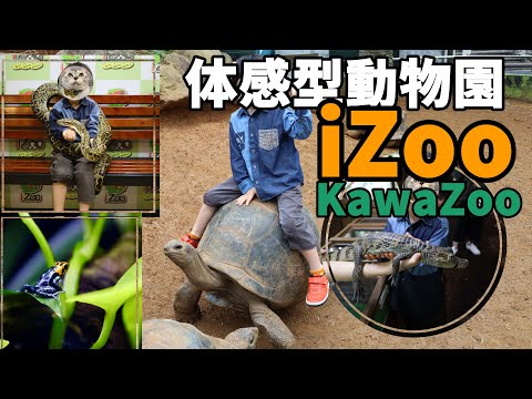 伊豆の体感型動物園が楽しすぎた！iZoo！KawaZoo！