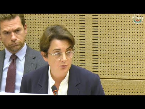 Louvre director admits 'insufficient' camera coverage after heist | AFP