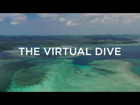 Saving the World’s Coral Reefs, One Virtual Dive at a Time