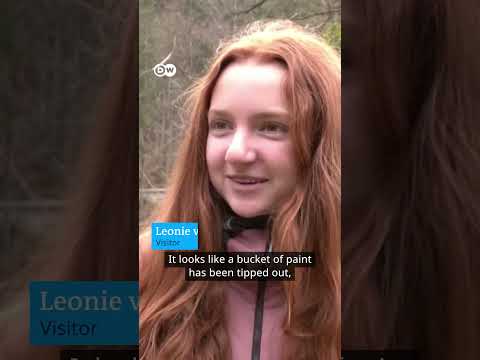 Purple lake in Bavaria has visitors impressed | DW News