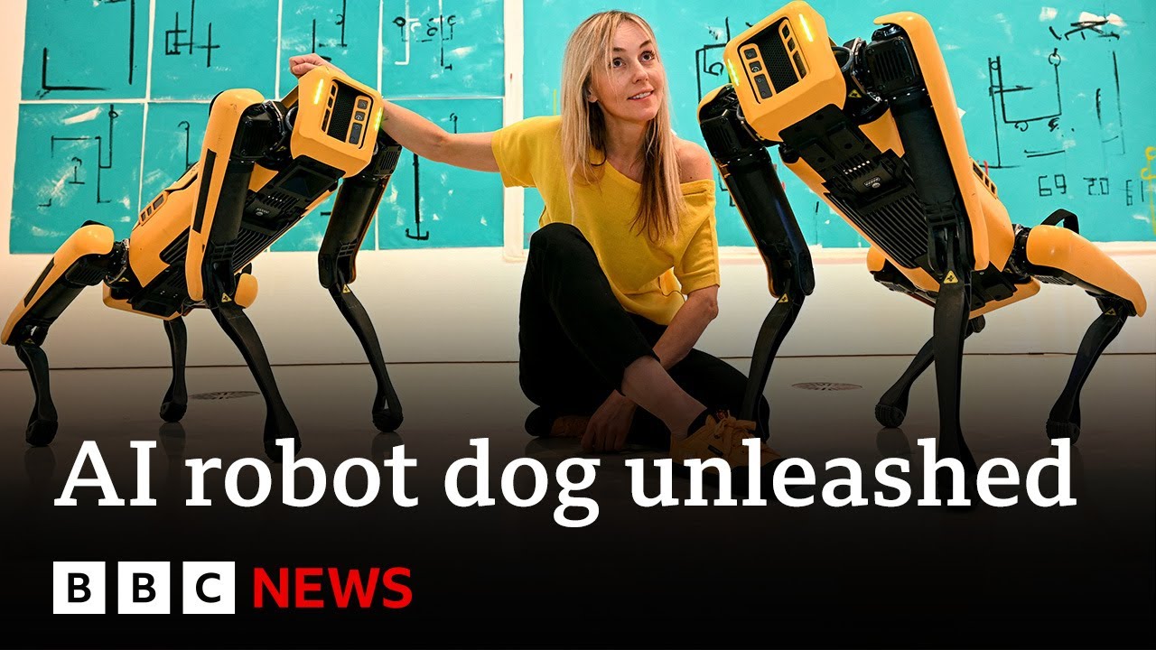 AI robot dogs take bullets to save humans, say engineers | BBC News