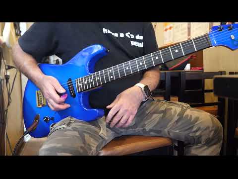 【スーパープレイ】Jake E. Leeの聴こえにくいThe Ultimate Sinのギターを聴こえやすく弾いてみた♪Ozzy Osbourne