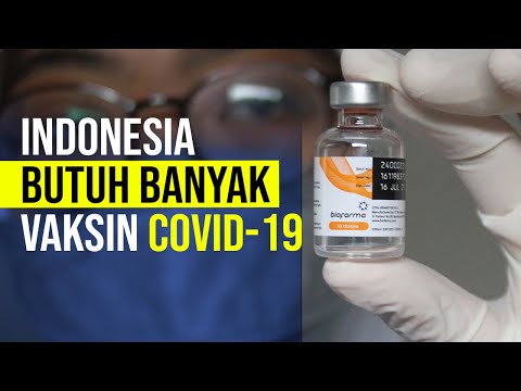 Indonesia Butuh Banyak Vaksin Covid-19