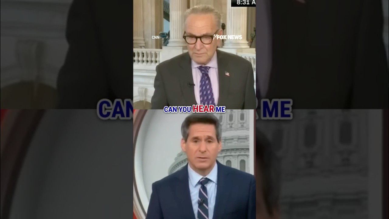 'POLITICAL IDIOCY': Schumer SKIRTS shutdown question