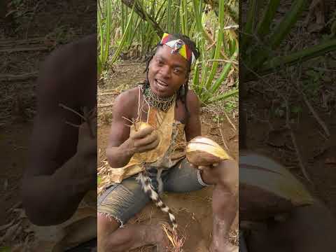 Tribe still eating roots