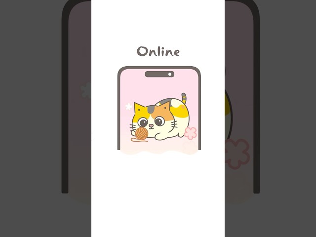 網路上的貓VS現實中的貓 Online VS Real Life