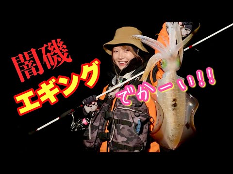 【エギング】毎年恒例の闇磯釣行が面白すぎたwww