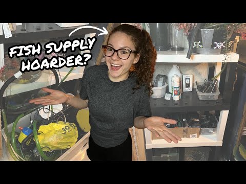 What’s in my fish supply room? | DECLUTTER and O Come along with me while I sort through my hoard of fish supply stuff! I have been putting going thr