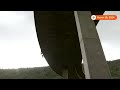 45 dead after bus plunges off cliff in South Africa | REUTERS  - 00:35 min - News - Video