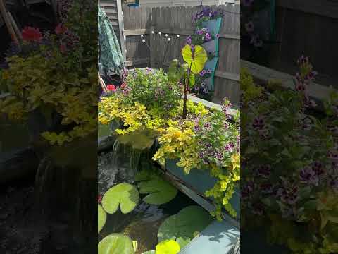 The bog box is off to a great start! 