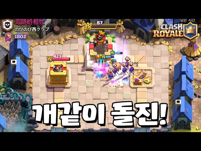 생긴거에 비해 날렵한 돼지 [클래시로얄] [June]
