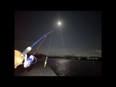 【配信】満月の夜が一番釣れるから