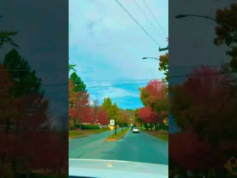 First stop #tioga visitor center #pennsylvania #touristattraction #autumncolors #fall #travelvlog