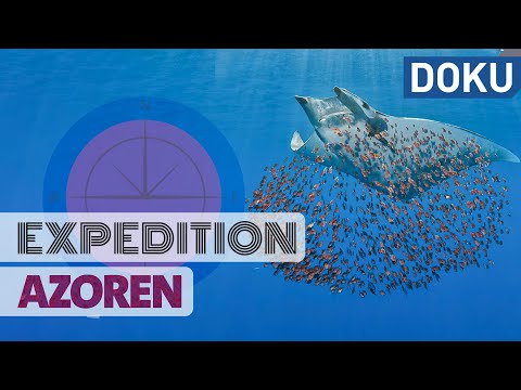 Expedition Azoren | Reisen | Dokus und Reportagen