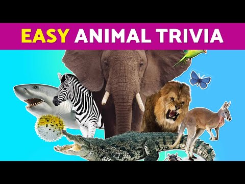🐾  Fun Trivia Quiz for Kids! 🐾 Test Your Animal IQ with These Easy Questions!🐵🦓