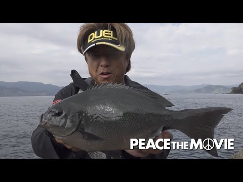 PEACE THE MOVIE #132「ルアーもフカセもお墨付き、まさかの名所巡りも?」九州地方・大分県 深島の旅/平和卓也（1503）