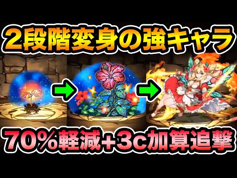 【星を紡ぐ精霊】ハイビスカスの凛星霊・ロザリンの性能公開！70%軽減+3コンボ加算+固定ダメージ持ち！【スー☆パズドラ】