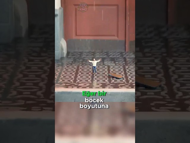 Böcek Boyutunda Olsaydın Ne Olurdu?😱😨🐞😵
