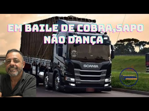 Frase de Caminhão: Em Baile de Cobra, Sapo Não Dança - O Que Isso Significa?