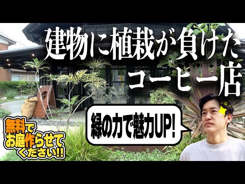 植栽を変えると飲食店は儲かるようになるか？緑の力でイートインスペースの利用客を増やせ！【タダ庭飲食店第１弾】