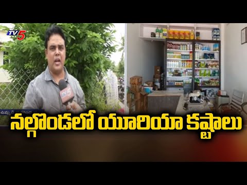 Farmers Face Trouble Due To Urea Shortage In Nalgonda District || TV5 News