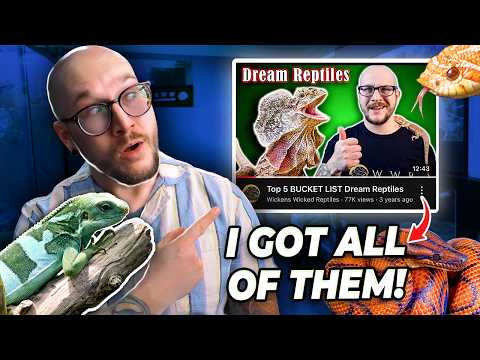I Got ALL My Dream Reptiles! Let Me Introduce You 4 Years later I’ve got every dream reptile on my list! I got them, housed them and set them up! Sp