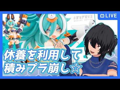 thumbnail_tFVpZvRJLfA