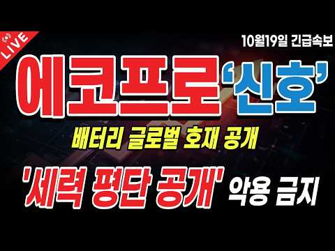 [에코프로 주가전망] ESS 기대에 다시 불붙었다! 급등 이후, 실적이 바통 받을까!?