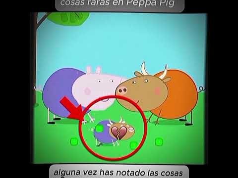 papa cerdito canchis canchis #viral #xd #edit