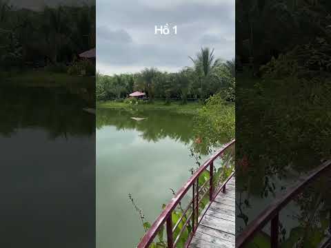 Trải nghiệm câu cá ở Vịnh 4 Mùa - La Ngà #ducauky #camtraicauca #cauca #camtrai #camping #fishing