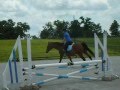 Last Ride by Sunburst Horsemanship Center
