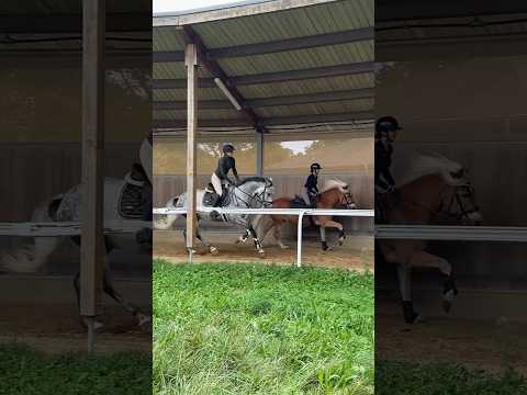Bibi und Tina 2.0 🦄🥳 #pferd #equestrian #horse