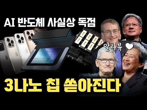 tsmc 3nm...  모두가 쩔쩔매는 역사적인 파운드리 공정 | 스마트폰부터 AI 서버, 랩탑까지 모두 점령한 tsmc 3nm의 다양한 공정 차이